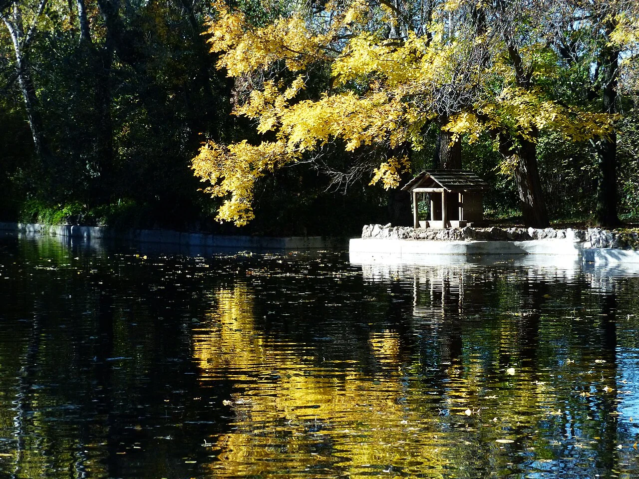 A pond in El Capricho with golden reflections and a small wooden structure