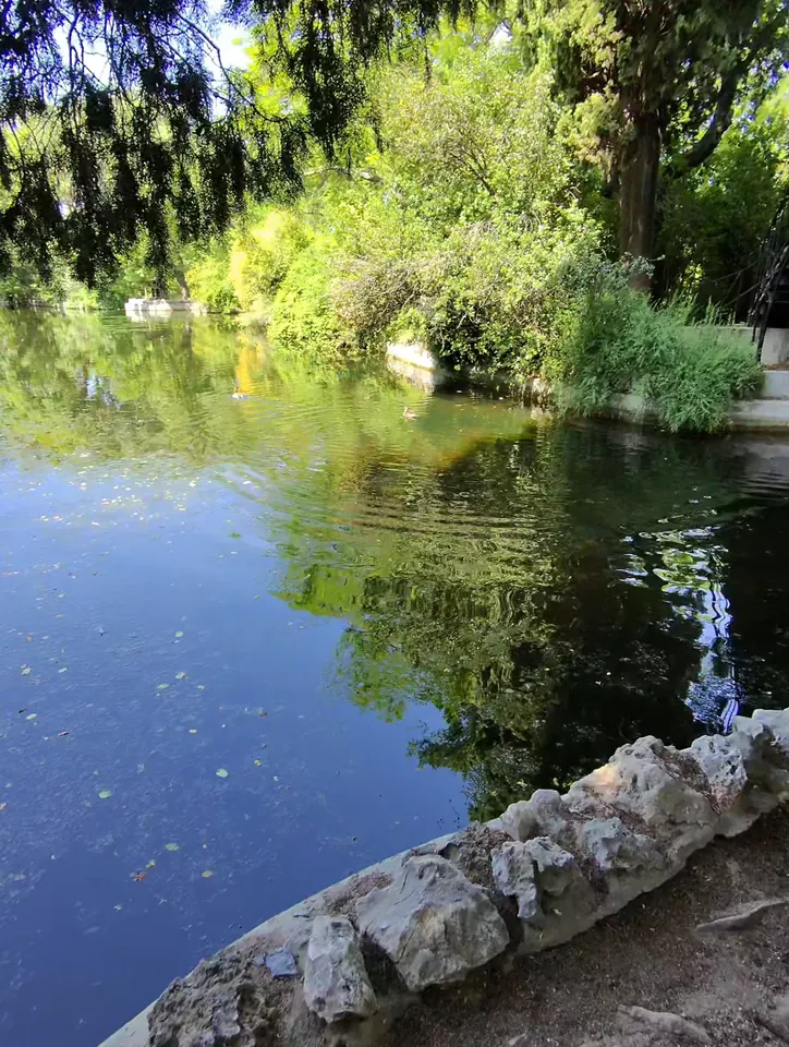 Reflejos del arbolado en el agua de la ría